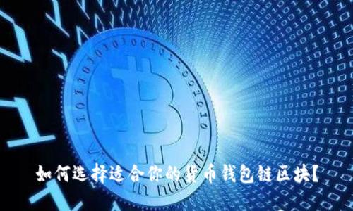 如何选择适合你的货币钱包链区块?