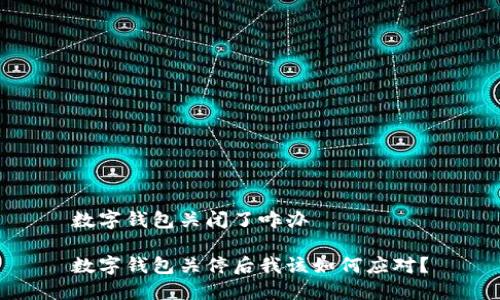 数字钱包关闭了咋办

数字钱包关停后我该如何应对？